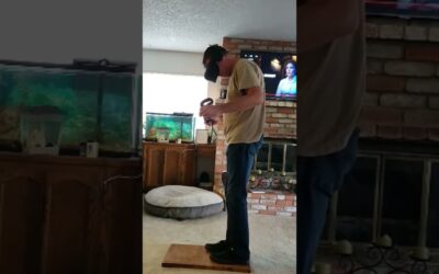 Dad Wasn’t Ready for Virtual Reality