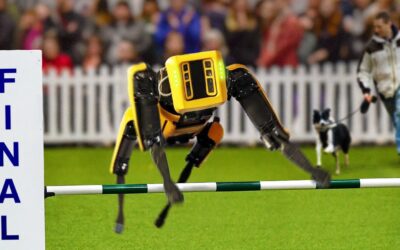 I Entered A Robot Dog Into A Dog Competition