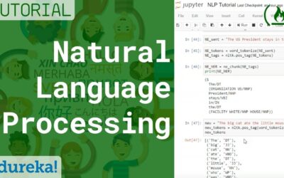 Natural Language Processing (NLP) Tutorial with Python & NLTK