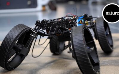 The bio-inspired ‘transformer’ that crawls, rolls and flies