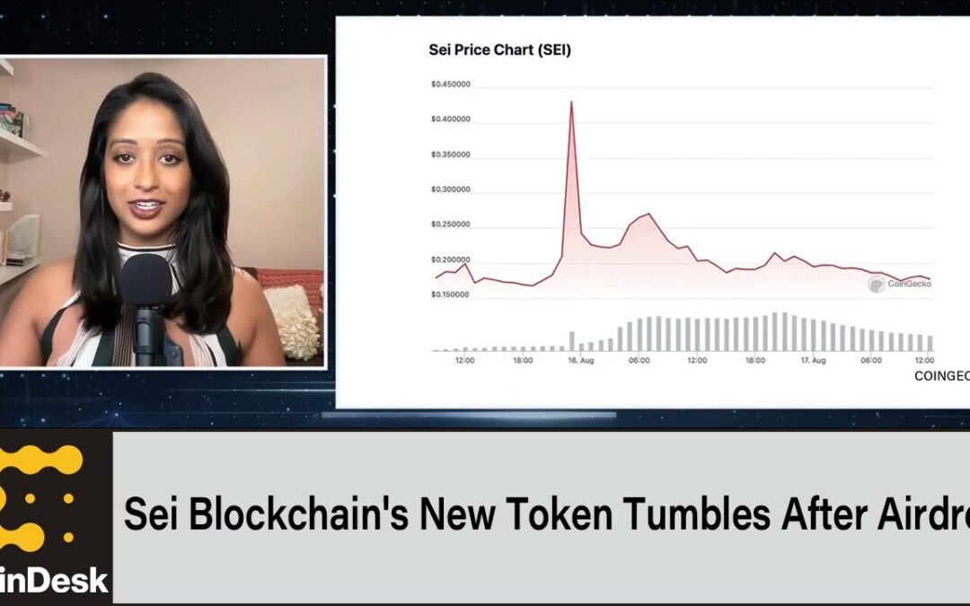 Sei Blockchain’s New Token Tumbles After Airdrop