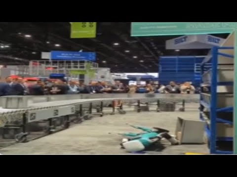 Robots Keep Killing Themselves