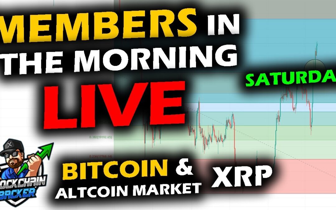 MARKETS in the MORNING, 8/21/2023, Bitcoin Price Chart, XRP Price Chart, Altcoin Market, Stocks Gold