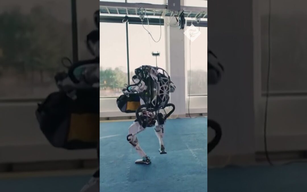 New Boston Dynamic robots show off their athletic skills