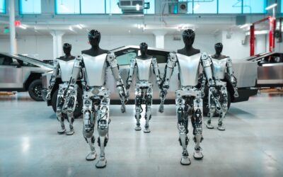 Tesla Bot Update