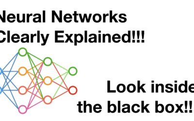 Neural Networks Pt. 1: Inside the Black Box