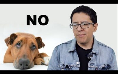 Por qué Nunca Podremos HABLAR con Animales