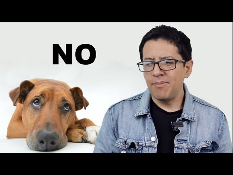 Por qué Nunca Podremos HABLAR con Animales