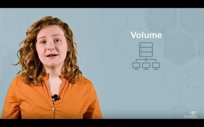 What is Big Data and What is it Used For?