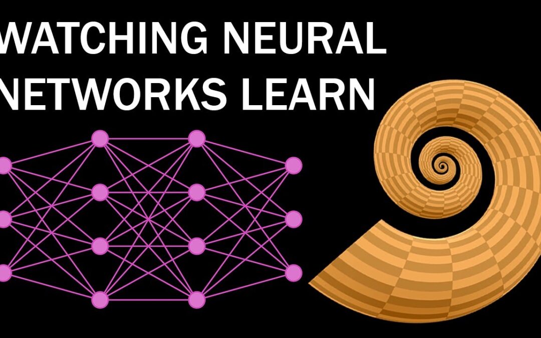 Watching Neural Networks Learn