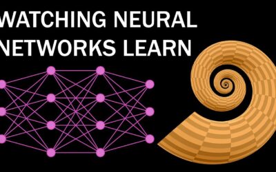 Watching Neural Networks Learn