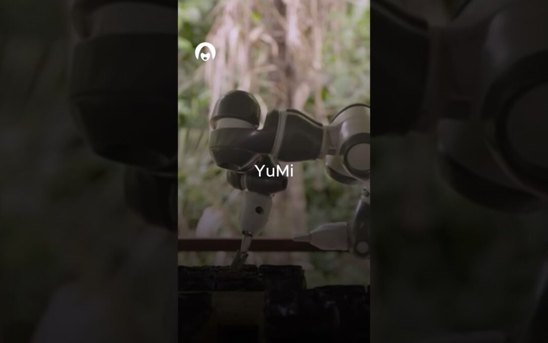 🌱YuMi, the Remote Robot #abb #deforestation #amazonforest  #ecology #robot #robotics #technews