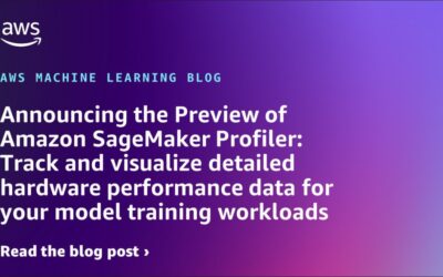 Introducing Amazon SageMaker Profiler Preview: Monitor and Visualize In-depth Hardware Performance Data for Model Training Workloads