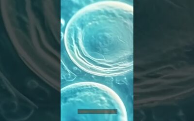 Quantum computer reveals chemical reaction in 100 billionth speed slow mo