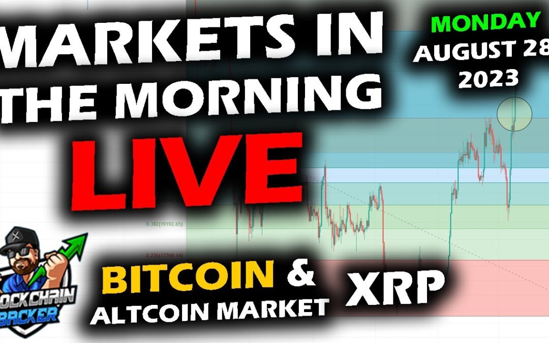 MARKETS in the MORNING, 8/28/2023, Bitcoin, Altcoin Market and XRP, Stock Market Rally