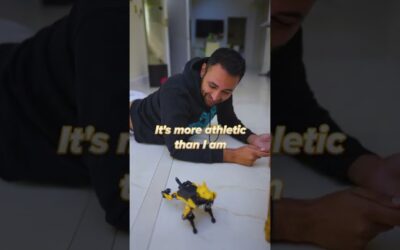 Unboxing the Robot Dog!
