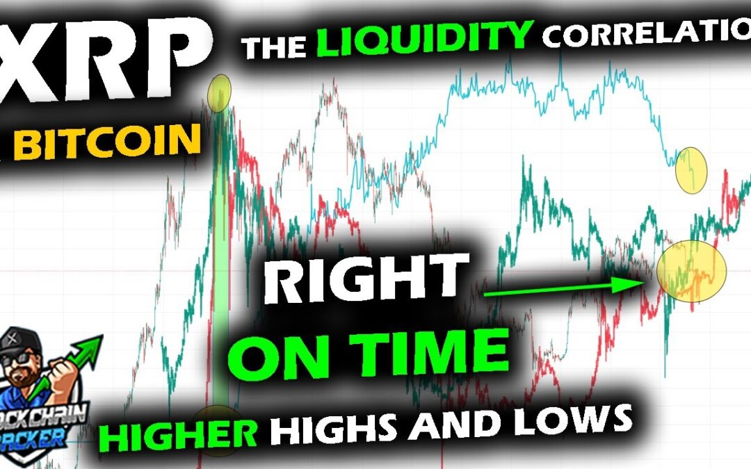 HIGHER LOWS and TIMING INTACT, XRP Price Chart and Bitcoin’s Price Surprising Link to Repo Facility