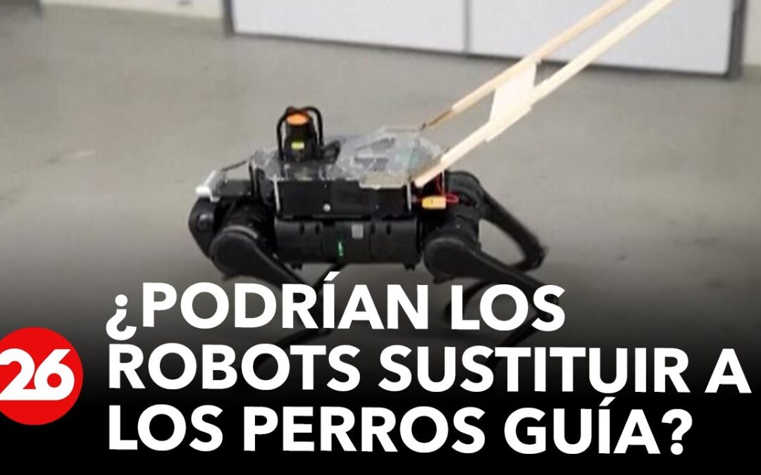 ¿Podrían los robots sustituir a los perros guía? | #26Global