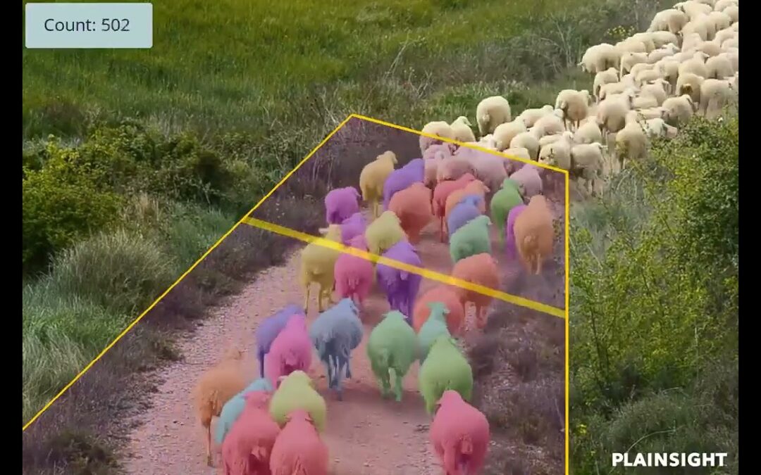 Computer vision app counts sheep without sleep!